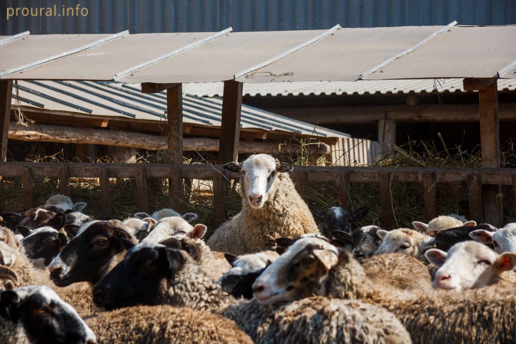 IMG_6045.jpg IMG_6045.jpg