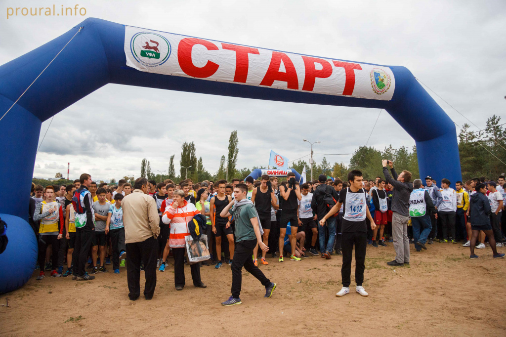 IMG_5287.jpg IMG_5287.jpg