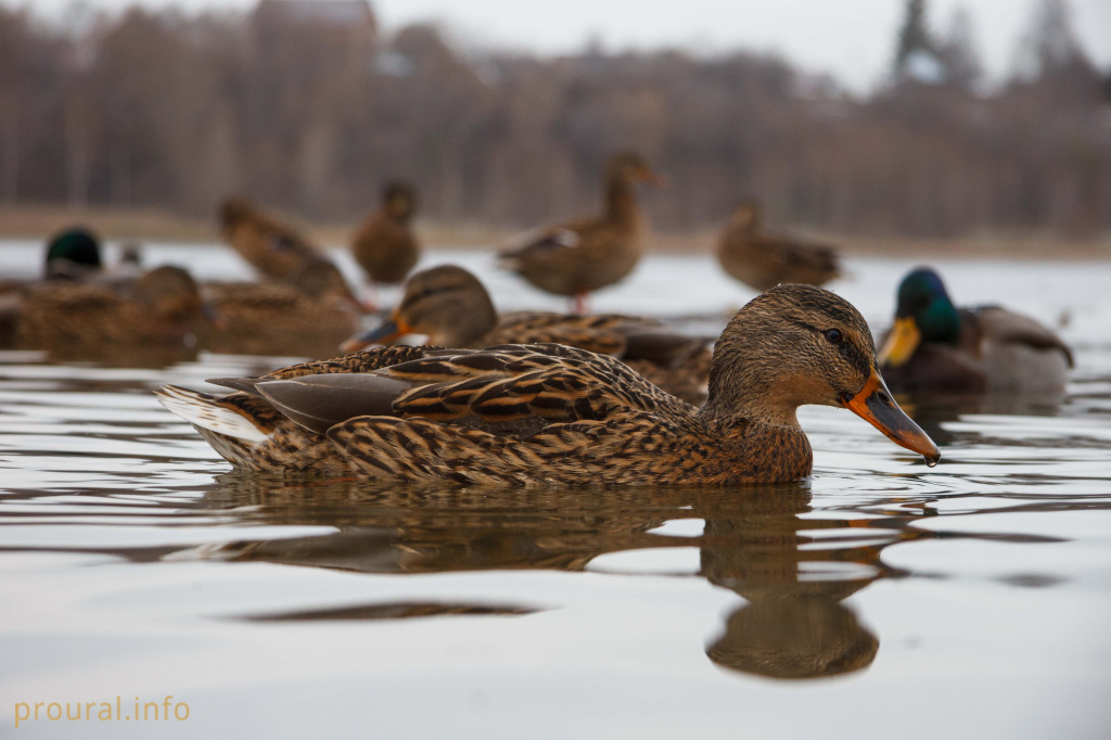 IMG_1033.jpg IMG_1033.jpg